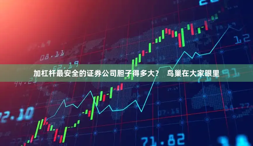 加杠杆最安全的证券公司胆子得多大？  鸟巢在大家眼里