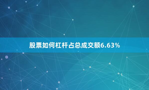 股票如何杠杆占总成交额6.63%